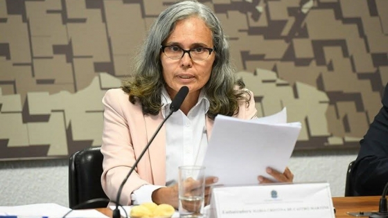 Comercio Guyana Brasil crece 25% y la embajadora pide vuelos directos