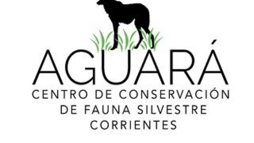 Desarrollan un protocolo actualizado para el manejo de fauna silvestre en el Centro de Conservación Aguará
