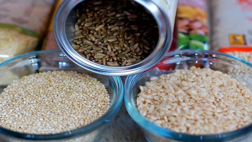 Jóvenes salteños descubren semillas que garantizan una mejor nutrición para los argentinos 