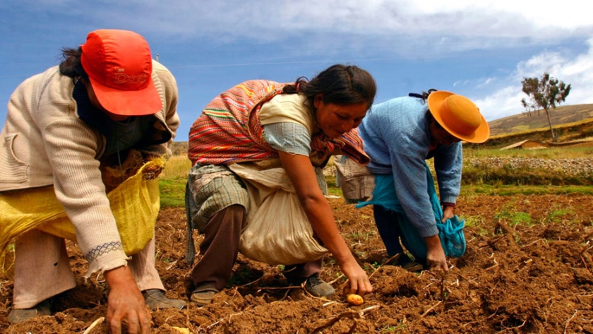 Ejemplo a seguir de economía agrícola familiar