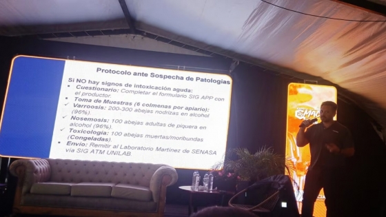 Alerta sanitaria en la apicultura: refuerzan controles para proteger la producción de miel y sostener exportaciones