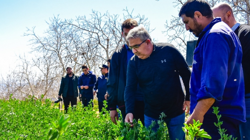 Productores de Siján, Rincón y Mutquín recibieron sistemas de riego para su desarrollo productivo