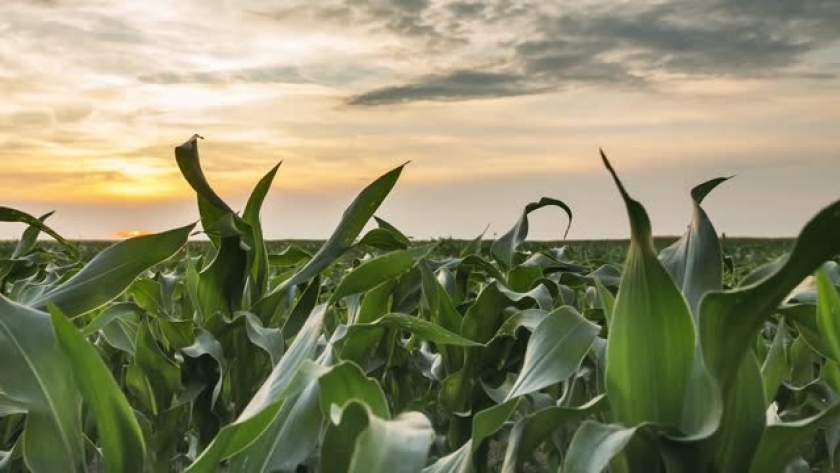 Adolfo Gonzalez Chaves: un motor de desarrollo sostenible en la agricultura y ganadería