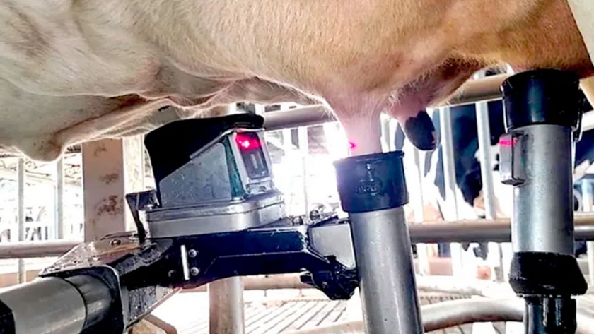 En Canadá tiran la leche cruda por caída de la demanda