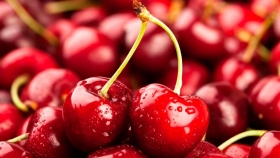 Cerezas: Extraberries alcanzó un nuevo récord de exportaciones