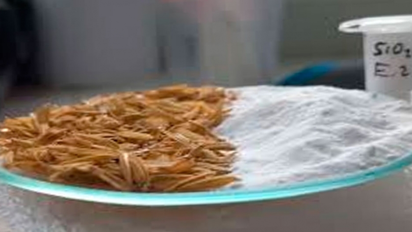 Biomateriales de arroz: con cascarilla y rastrojo producen un derivado de alto valor