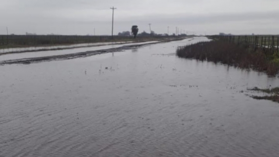 El agua paralizó el avance de la soja en el noreste de Buenos Aires