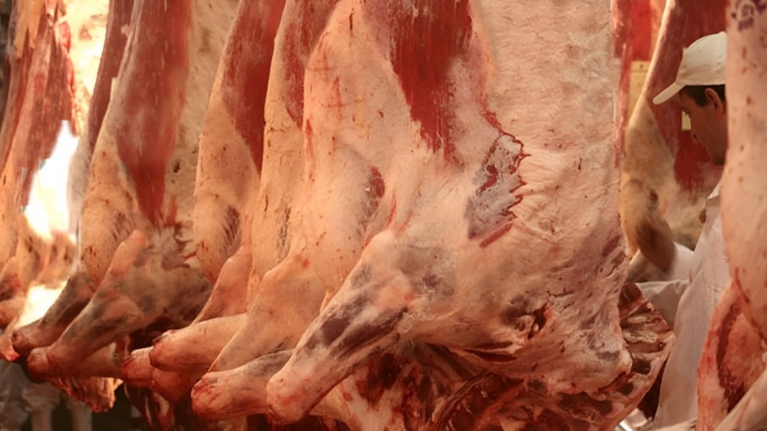 Récord histórico: Argentina lidera exportaciones de carne vacuna tras flexibilización gubernamental
