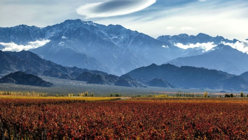 Wines of Argentina se une al agro para potenciar la promoción del Vino Argentino