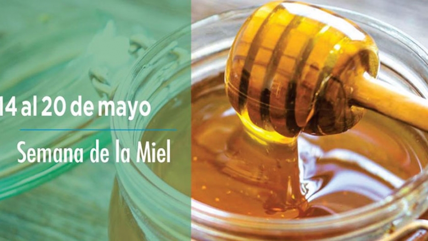 Del 14 al 20 de mayo - Semana de la Miel