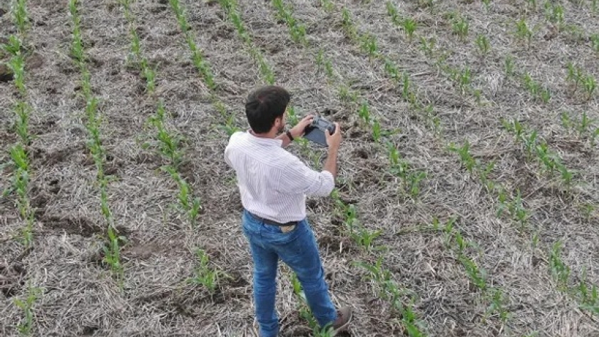 La empresa de agro líder que relevó 26 mil hectáreas con drones para controlar stand de plantas y decidir mejor