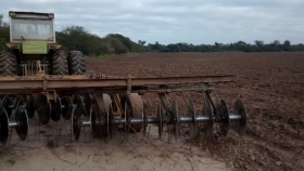 Cosecha de sorgo 2020-21: final de una muy buena campaña