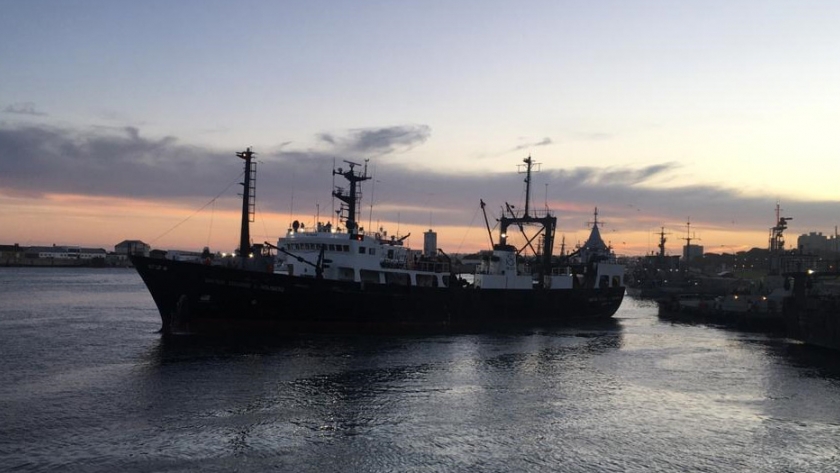 Tras 3 años, el INIDEP vuelve a realizar una campaña de merluza en la zona de cría norpatagónico