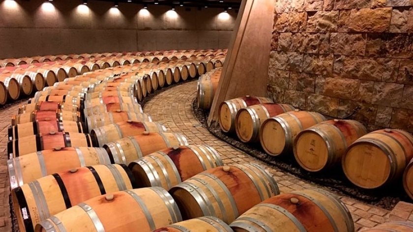 Radiografía del turismo del vino: 320 bodegas en 14 provincias abren sus puertas a los visitantes