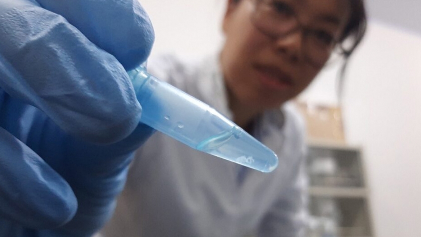 INBIO importa germoplasmas y apunta a desarrollar más tecnología para el Agro 
