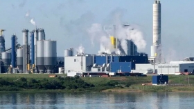 Informe del impacto real de las fábricas de celulosa ya instaladas en Uruguay: UPM en Fray Bentos y Montes del Plata en Conchillas