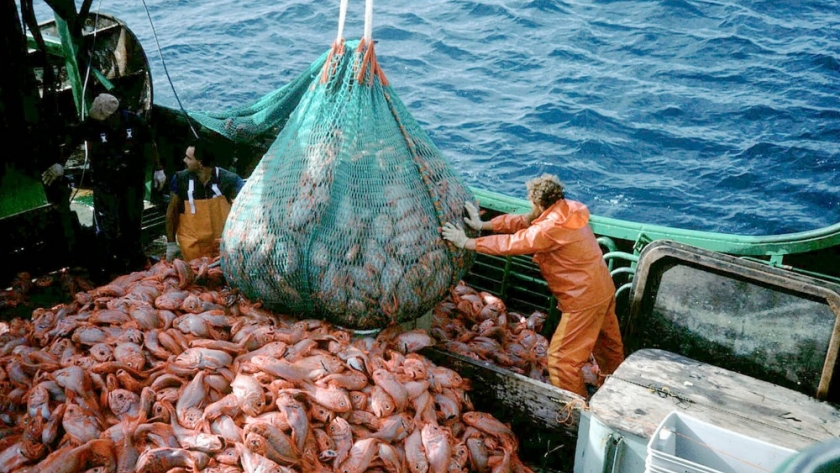 Pesca: luego de la dura respuesta de los gobernadores patagónicos, el Gobierno concedió cambios clave
