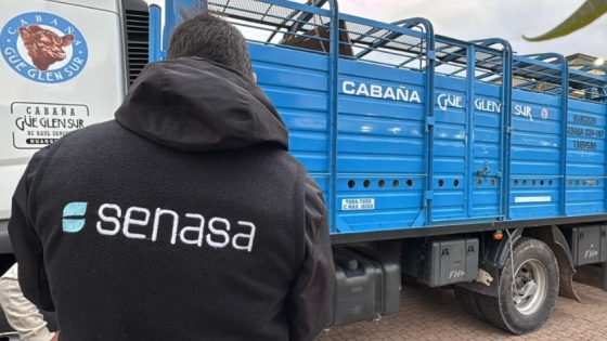SENASA simplifica el registro de playas de lavado y refuerza el control sanitario del transporte animal