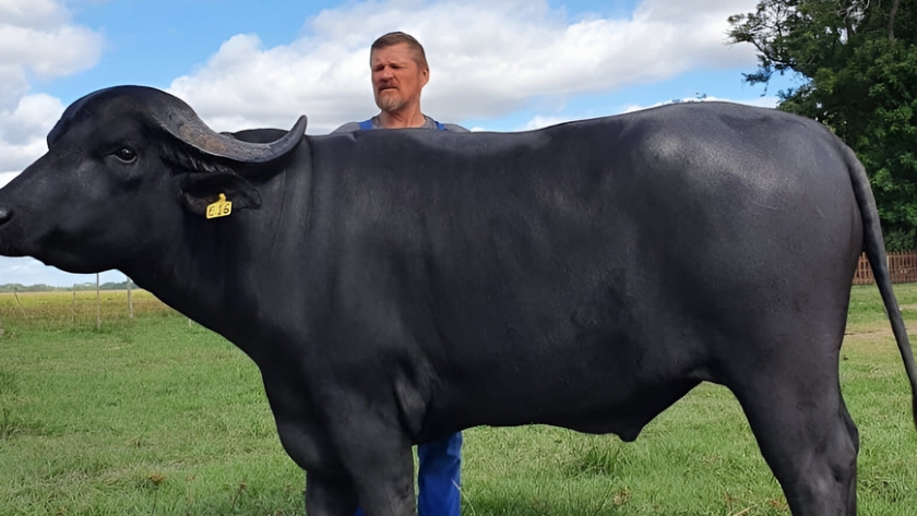 De veterinario a experto cervecero: el viaje de un emprendedor correntino que conquistó el mundo