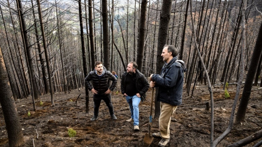 El Ministerio de Ambiente avanza con la reforestación de la Comarca Andina