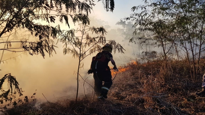 El Servicio de Manejo del Fuego dependerá del Ministerio de Ambiente