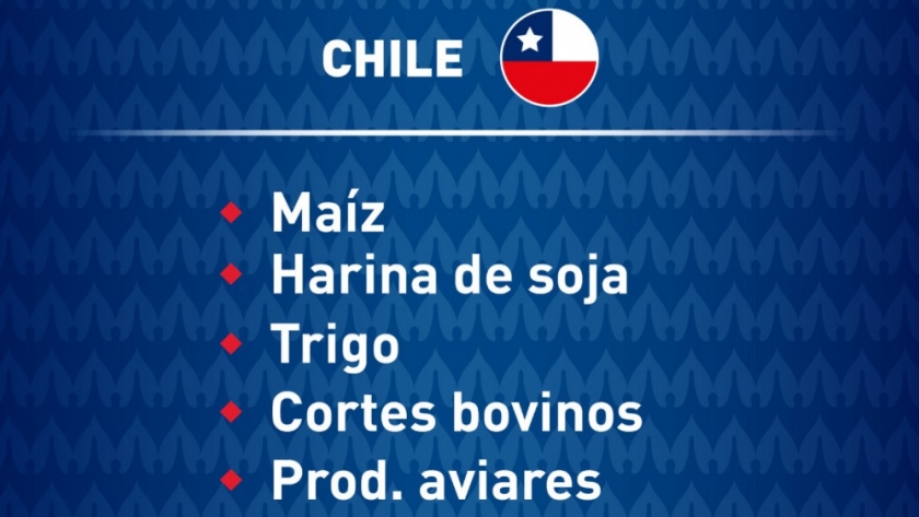 Copa América: La Argentina y Chile mantienen un comercio fluido de productos