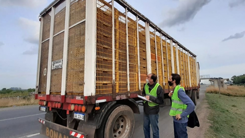 Control a transportes de alimentos, ganado y vegetales en la provincia de Buenos Aires