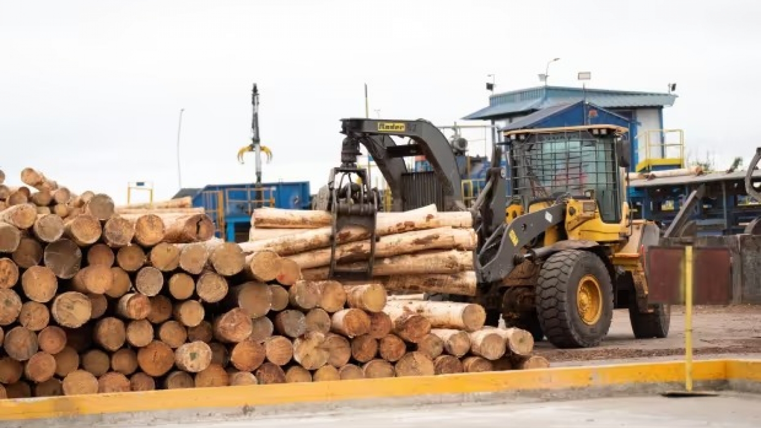 Forestoindustria en Esquina: Zeni triplica su producción