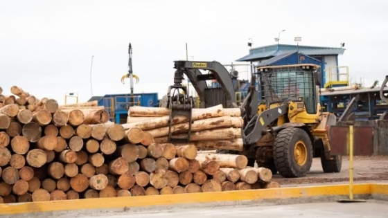 Forestoindustria en Esquina: Zeni triplica su producción