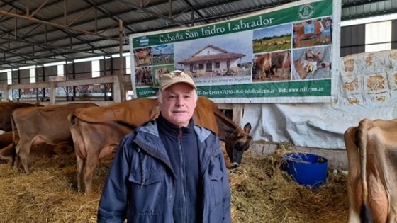 Vacas Jersey: el referente de la raza que ya está en el 14% del rodeo lechero argentino y que da leche con hasta un 30% más de precio que las Holando