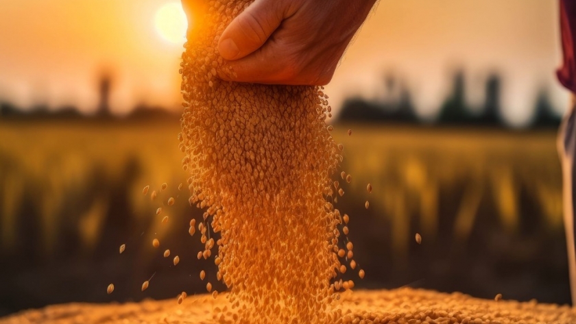 Diplomatura universitaria en Gestión Responsable del Producto en la Industria Semillera: preparando profesionales para un futuro sostenible