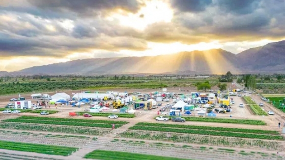 La cumbre del agro en Cuyo: Banco de San Juan y Agrofy Pay se unen a la feria frutihortícola más grande de la región que impulsa agronegocios y expone los últimos avances tecnológicos