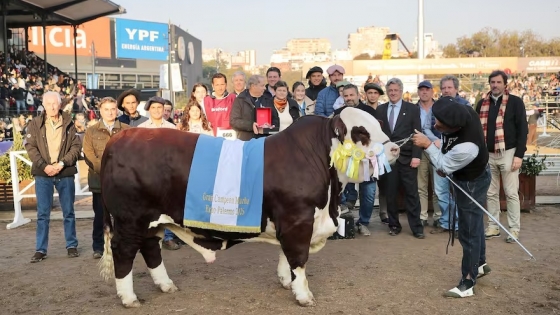 Palermo 2025: la raza Braford destacó por su evolución genética y consagró a sus campeones