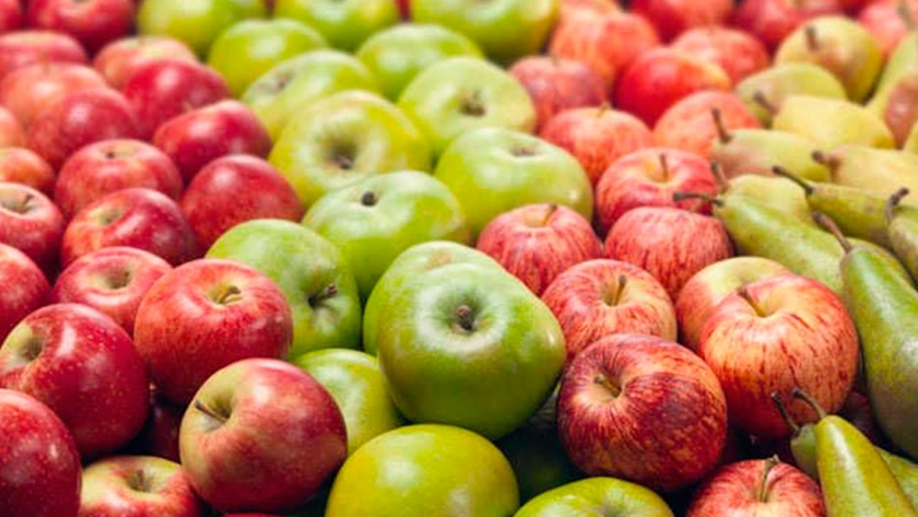 La certificación de calidad gana importancia en la fruticultura de exportación