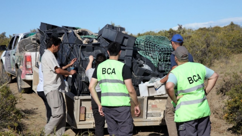 Ambiente continúa con el control de residuos pesqueros en península Valdés