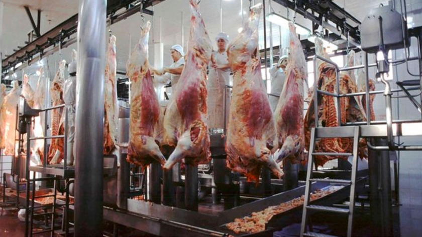 La industria frigorífica reclamó una baja de las retenciones a la carne vacuna y medidas que incentiven la inversión