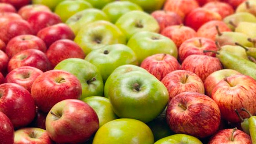 La certificación de calidad gana importancia en la fruticultura de exportación