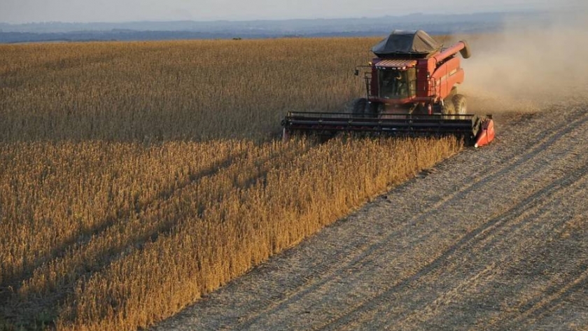 MSU compró tres campos en Chaco por casi US$10 millones