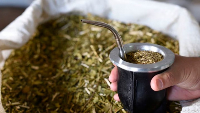 La AFIP eliminó regulaciones para la producción y comercialización de yerba mate