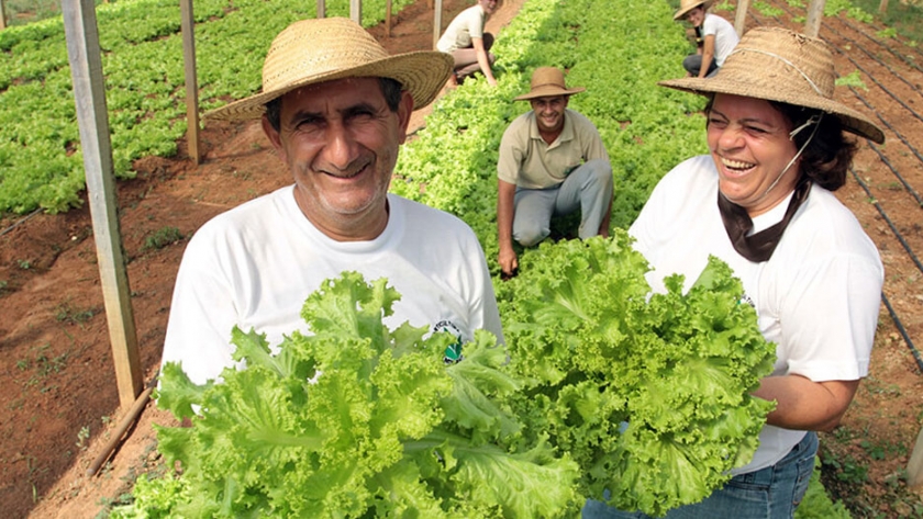 ¿Cómo cuidarnos para producir alimentos en el actual contexto de COVID19 ?