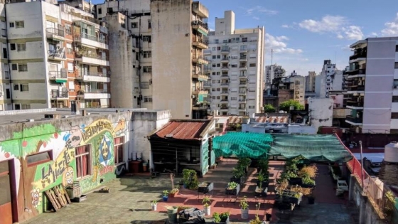 Raíces Urbanas: educación ambiental en la Ciudad de Buenos Aires