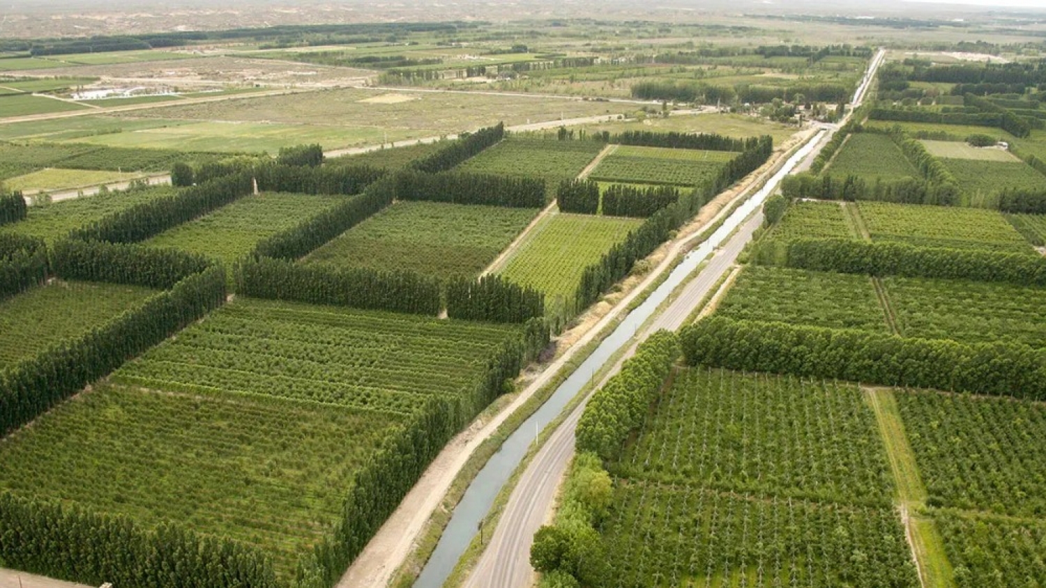 Enoturismo en Neuquén: bodegas, paisajes y vinos únicos