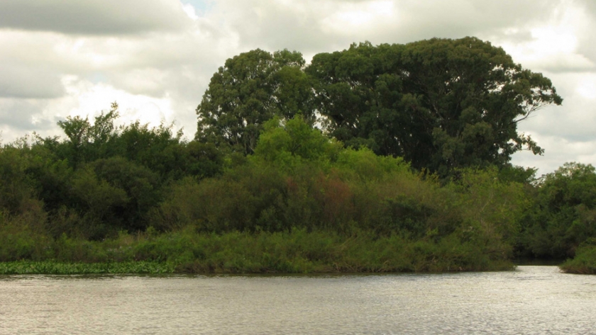 PIECAS: Ambiente convocó a las universidades nacionales de la región del Delta del Paraná