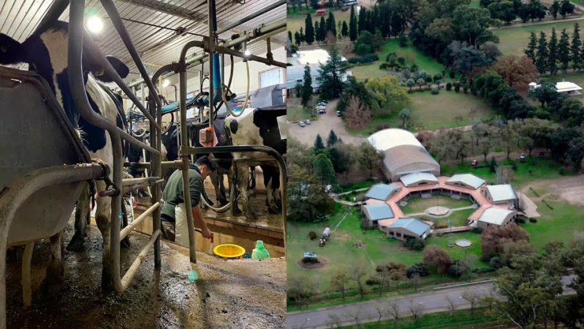 Un colegio de Santa Fe hace historia en el agro: será el primero del país en tener un tambo automatizado