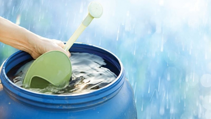 Reutilizando el tesoro del cielo: el uso sostenible del agua de lluvia para el riego