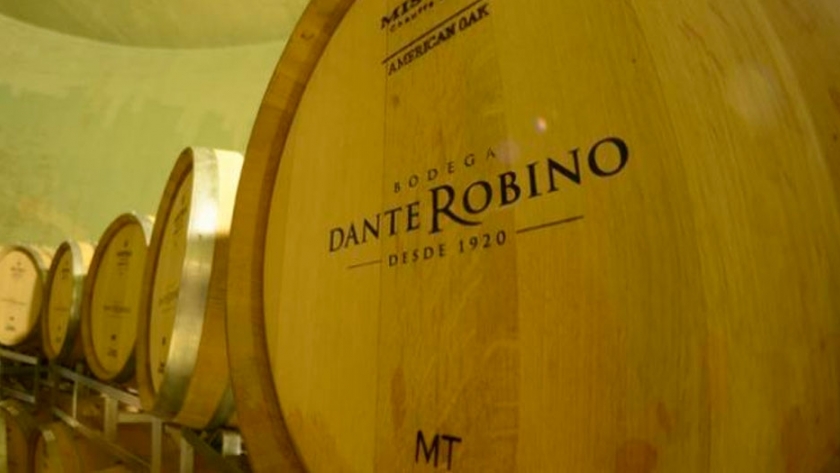 ¿Tendrá éxito? Quilmes compró una bodega y busca hacer pie en el sector del vino