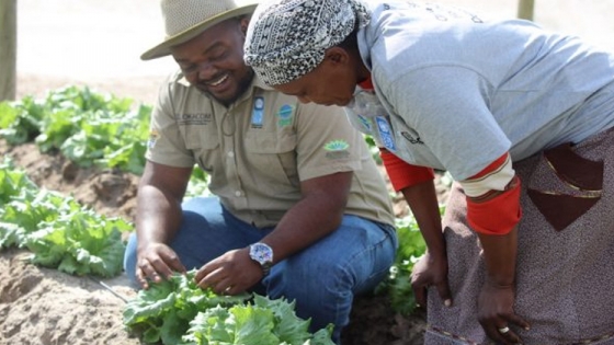 El programa del PNUD en Botswana invierte en agricultura "climáticamente inteligente"
