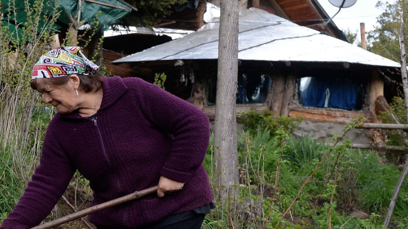 El ecobarrio, la toma verde de El Bolsón
