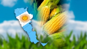 Las rutas del maíz, un cultivo federal 