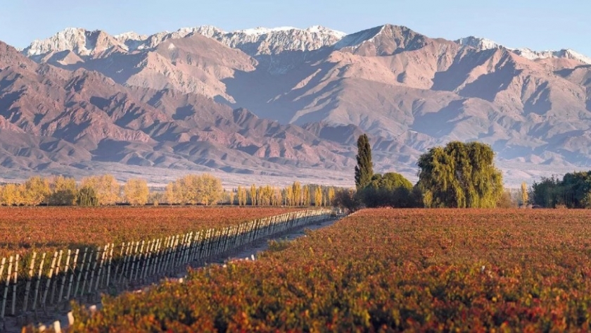 Descubrí la exquisita Ruta del Vino en Argentina
